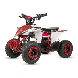 Tiger - MiniQuad Infantil 1000w off road