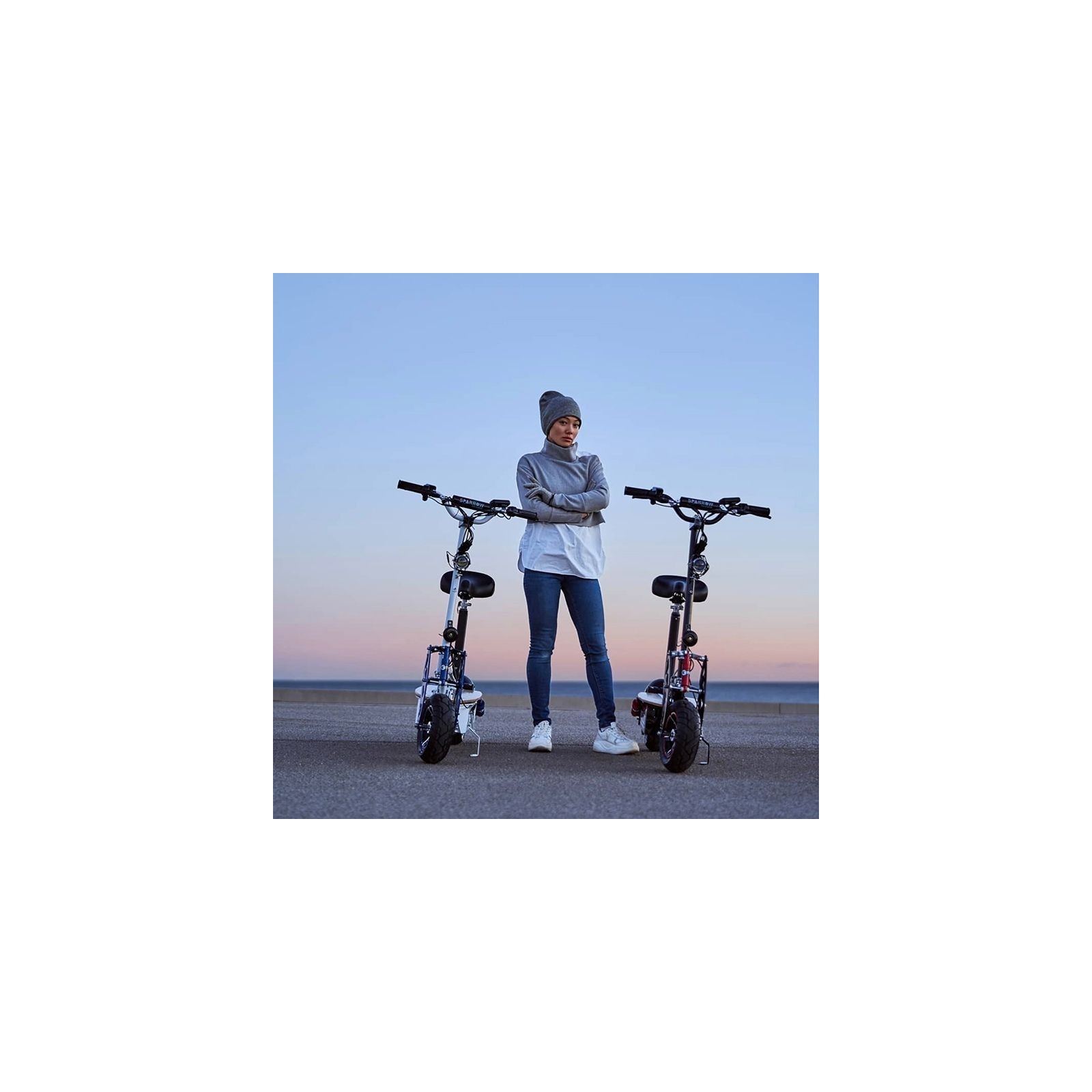 Scooter elétrica Sparrow 2000W com selim