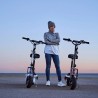 Patinete eléctrico con sillín Sparrow 2000W