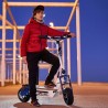 Patinete eléctrico con sillín Sparrow 2000W