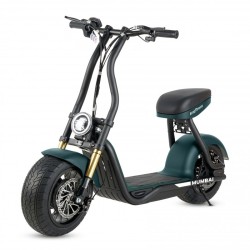 MAVERICK-H10