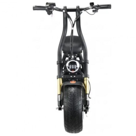 MAVERICK-H10