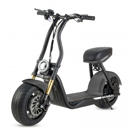 MAVERICK-H10