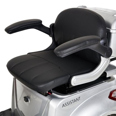 Scooter movilidad reducida Assistant I con motor 650W