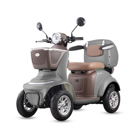 Scooter à mobilité réduite Assistant L | 1000 W, autonomie maximale de 30 km