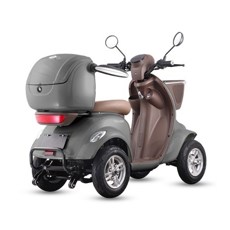 Scooter à mobilité réduite Assistant L | 1000 W, autonomie maximale de 30 km