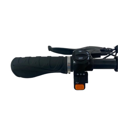 Scooter Elétrica BOOP