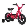 Bicicleta Infantil DART-7