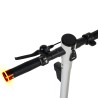 Monopattino elettrico LINEAR