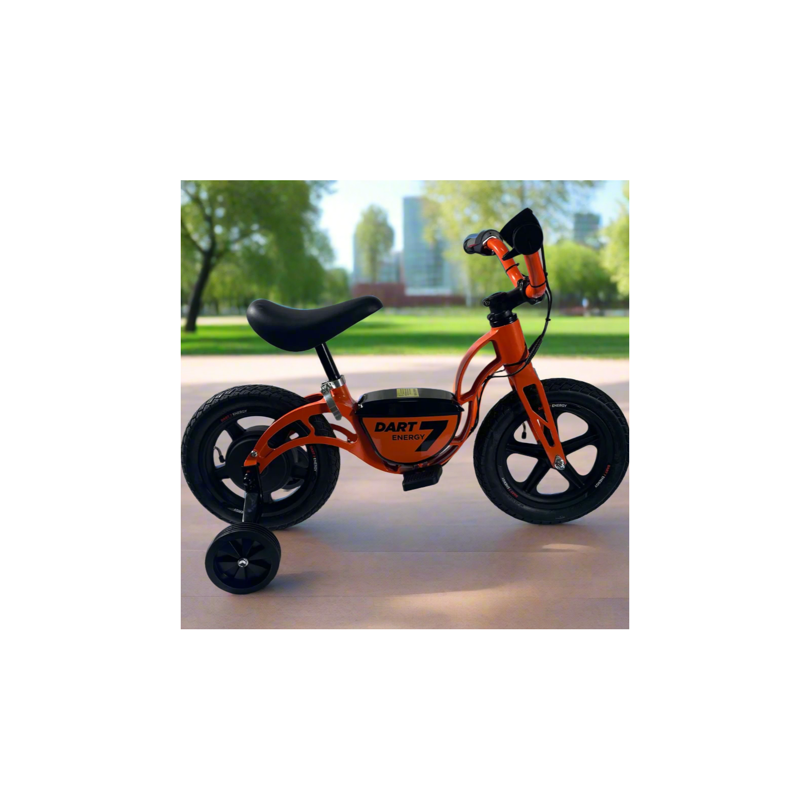 Bicicleta Infantil DART-7