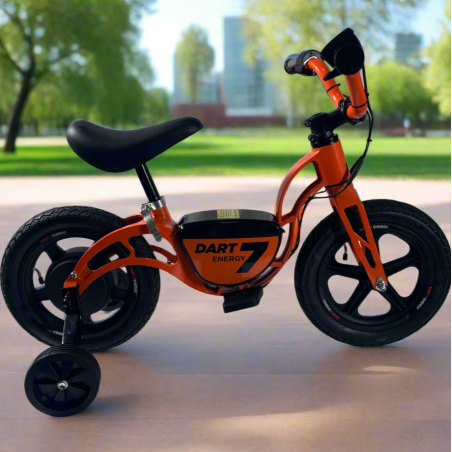 Bicicleta Infantil DART-7