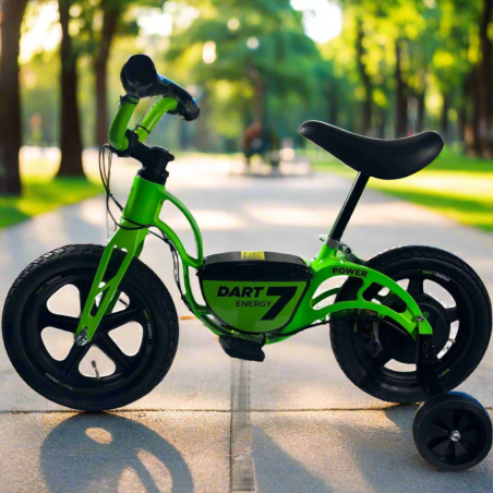 Bicicleta Infantil DART-7