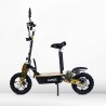 ASPIDE -WOOD-20/BLACK